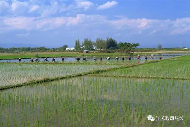 滨海港被盐城gdp_盐城滨海港月亮湾图片