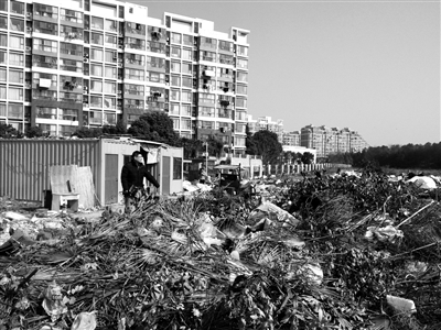 南京一小区外空地成垃圾场 还有人挖坑埋垃圾