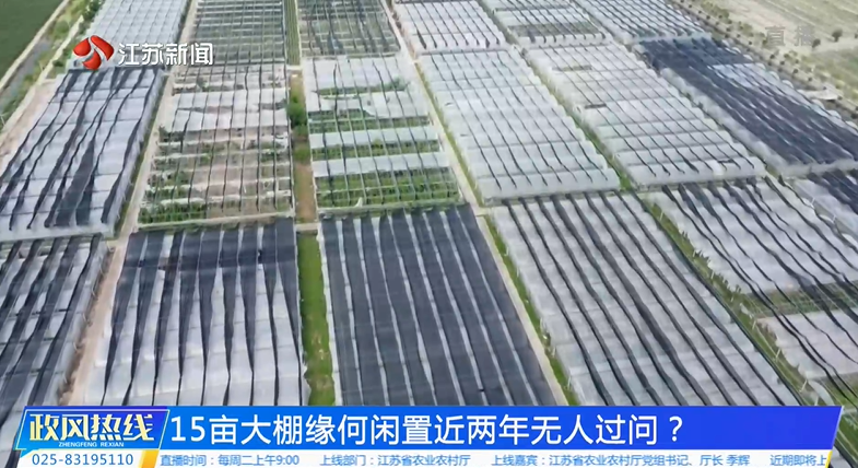 15亩大棚缘何闲置近两年无人过问.png