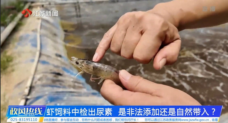 虾饲料中检出尿素是非法添加还是自然带入.png