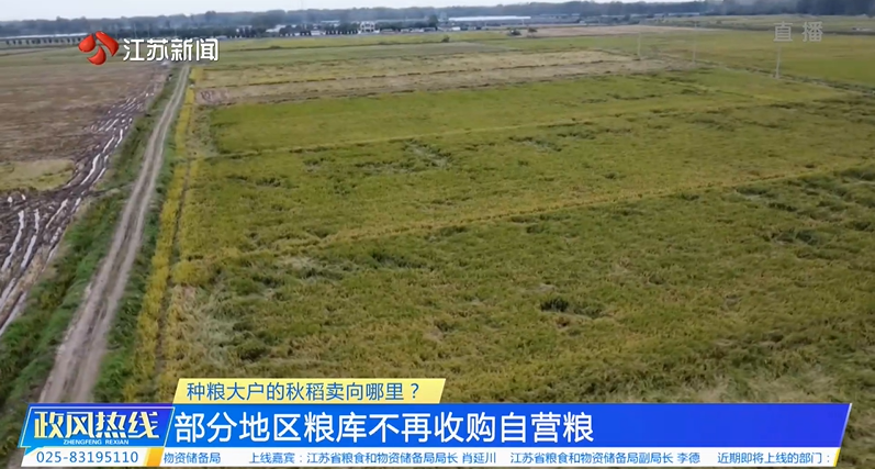 种粮大户的秋稻卖向哪里？.png