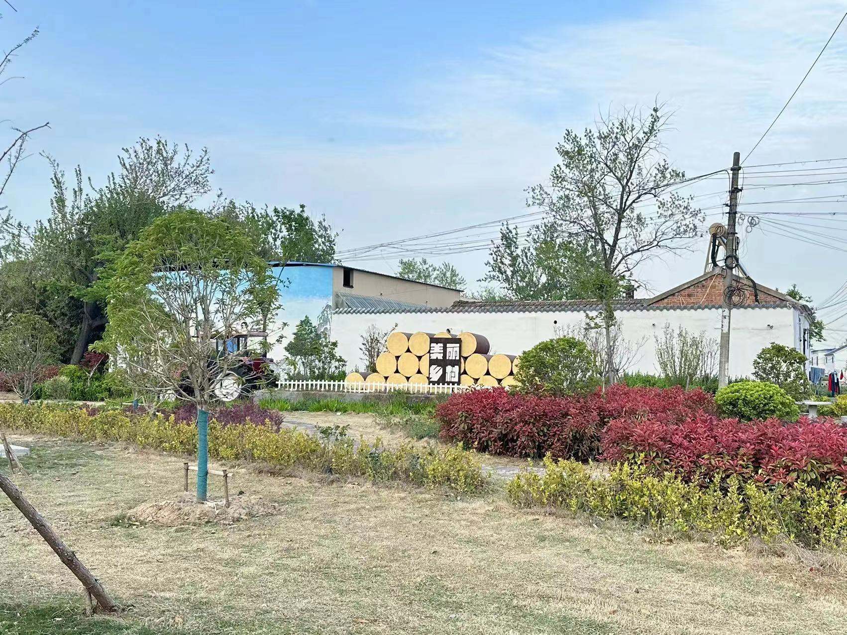 宿迁泗阳众兴街道:村集体经济增收推动乡村振兴